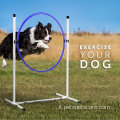 Migliore cani sportivi 3 PC Dog Agility Equipment